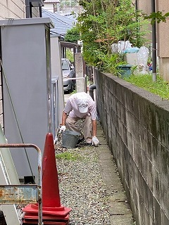 IMG_5288.jpg