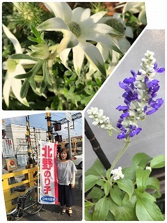 s-IMG_3040.jpg