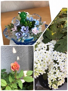 s-IMG_3088.jpg