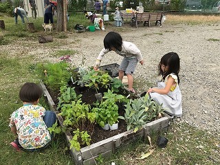s-IMG_3108.jpg
