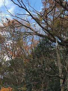 s-IMG_4277.jpg
