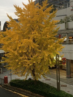 s-IMG_4590.jpg