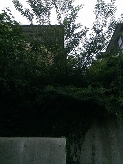 s-IMG_4653.jpg