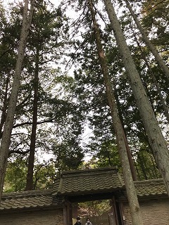 s-IMG_5595.jpg