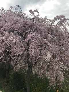 s-IMG_5715.jpg