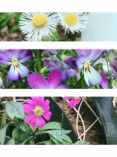 s-IMG_5905.jpg