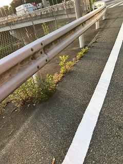 s-IMG_5973.jpg