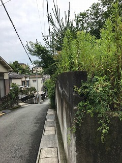 s-IMG_6237.jpg