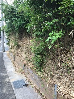 s-IMG_6458.jpg