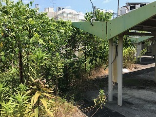 s-IMG_6487.jpg