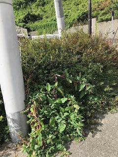 s-IMG_6647.jpg