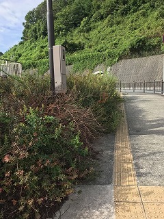s-IMG_6650.jpg