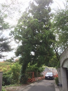 s-IMG_6812.jpg
