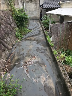 s-IMG_6931.jpg