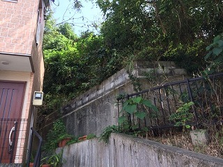 s-IMG_9205.jpg
